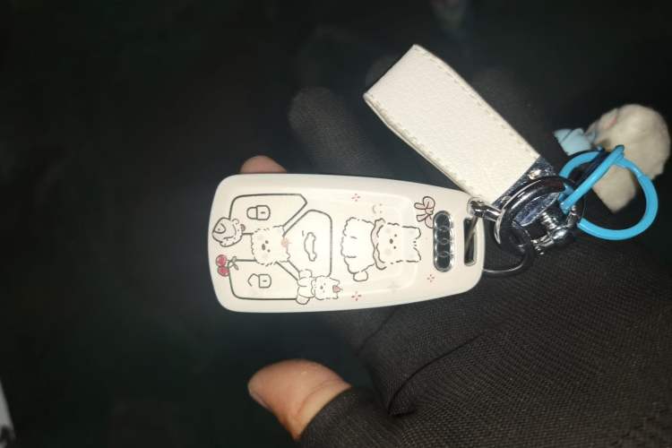 Used Audi A4L 2022 40 TFSI Luxury Dynamic Model Vehicle Key