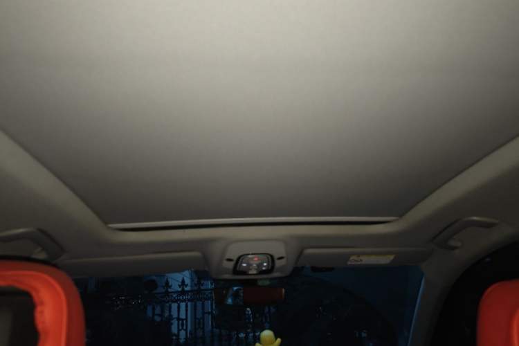 Used Audi A4L 2022 40 TFSI Luxury Dynamic Model Headliner