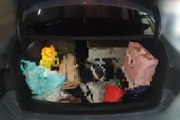 Thumbnail 20