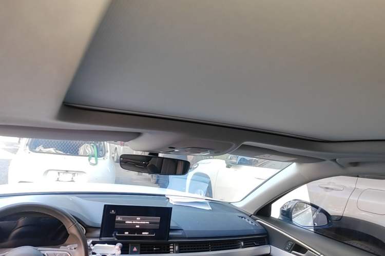 Used Audi A4L 2022 40 TFSI Luxury Dynamic Model Headliner