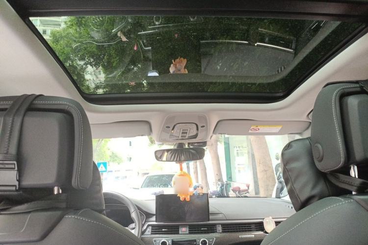 Used Audi A4L 2022 40 TFSI Luxury Dynamic Model Headliner