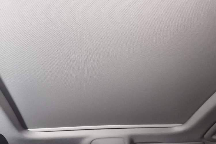 Used Audi A4L 2022 40 TFSI Luxury Dynamic Model Headliner