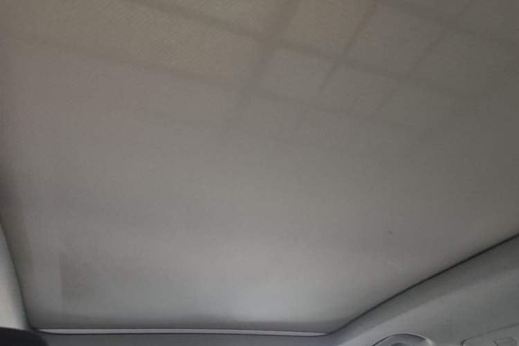 Used Audi A4L 2022 40 TFSI Fashion Dynamic Model Headliner