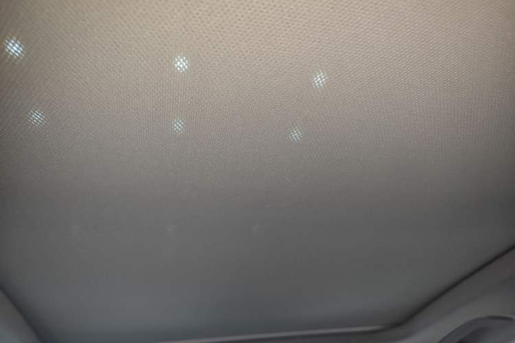 Used Audi A4L 2022 40 TFSI Luxury Dynamic Model Headliner