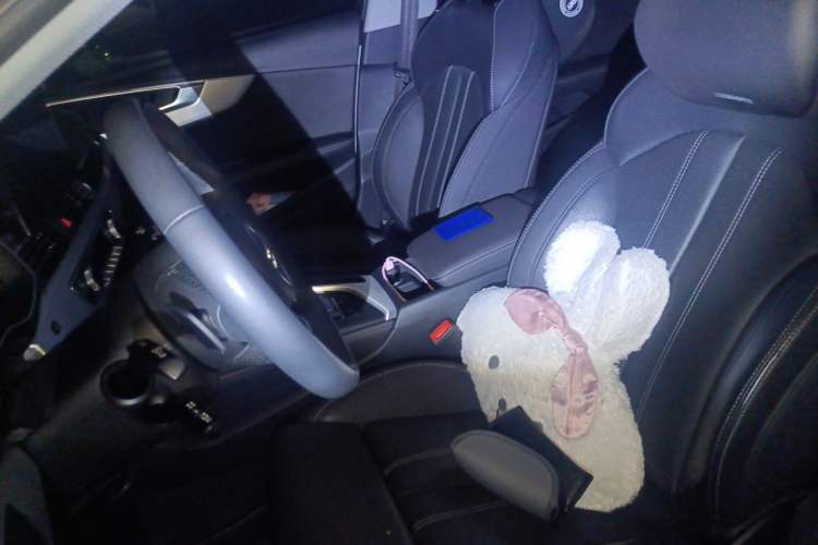 Used Audi A4L 2022 40 TFSI Luxury Dynamic Model Left Front Seat