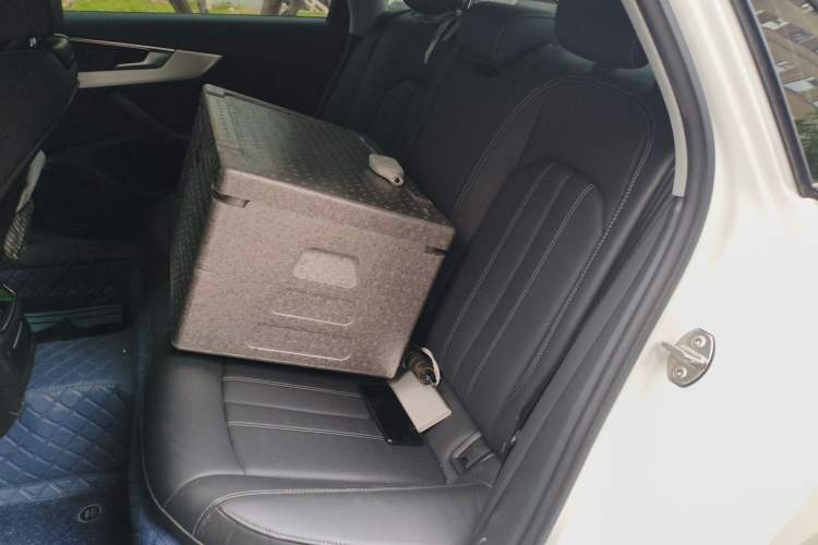 Used Audi A4L 2022 40 TFSI Luxury Dynamic Model Left Rear Seat