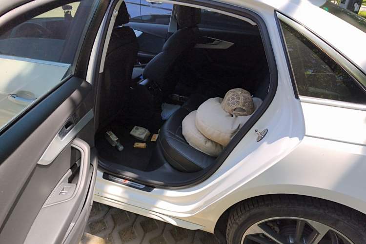 Used Audi A4L 2022 40 TFSI Fashion Dynamic Model Left Rear Seat