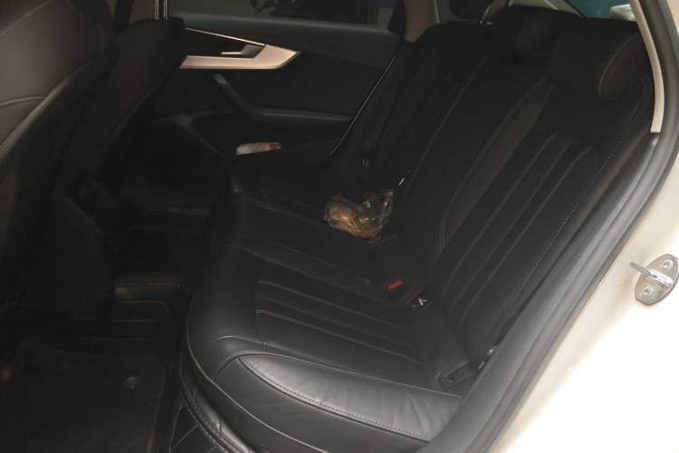 Used Audi A4L 2022 40 TFSI Fashion Dynamic Model Left Rear Seat