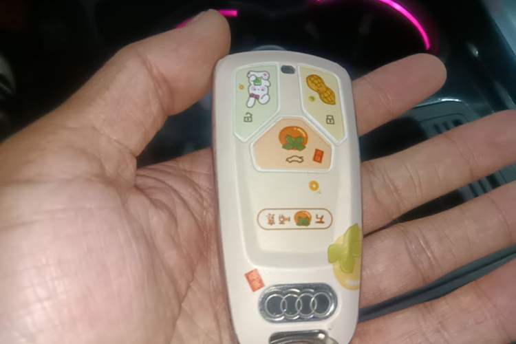 Used Audi A4L 2022 40 TFSI Fashion Dynamic Model Vehicle Key