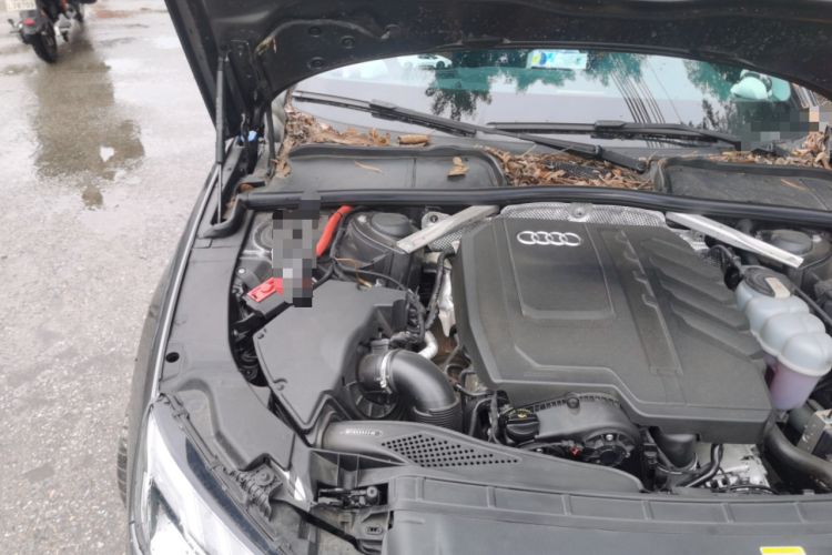 Used Audi A4L 2023 40 TFSI Fashion Dynamic Model Engine Bay Right