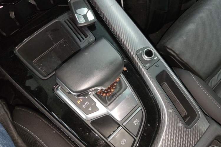 Used Audi A4L 2023 40 TFSI quattro Luxury Dynamic Edition Gear Lever