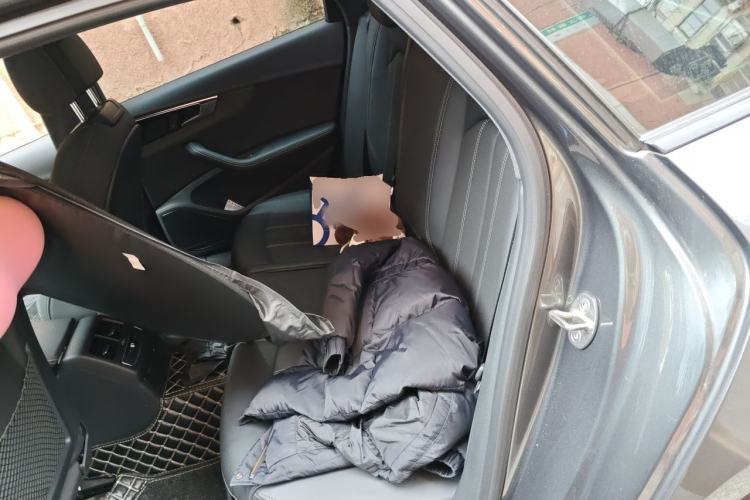 Used Audi A4L 2023 40 TFSI Luxury Dynamic Model Left Rear Seat