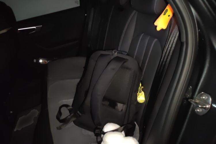 Used Audi A4L 2023 40 TFSI Bang & Olufsen Starry Night Edition Left Rear Seat