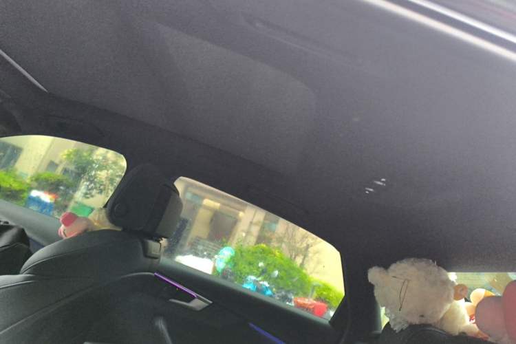 Used Audi A4L 2023 40 TFSI Luxury Dynamic Model Headliner