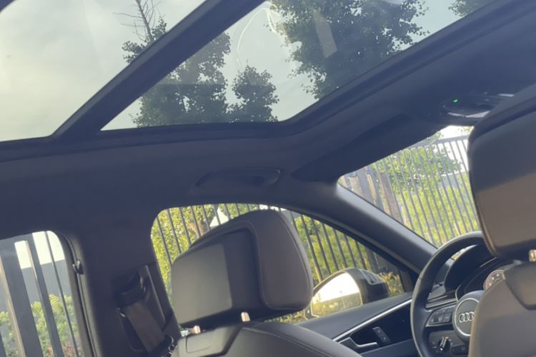 Used Audi A4L 2023 40 TFSI Luxury Dynamic Model Headliner