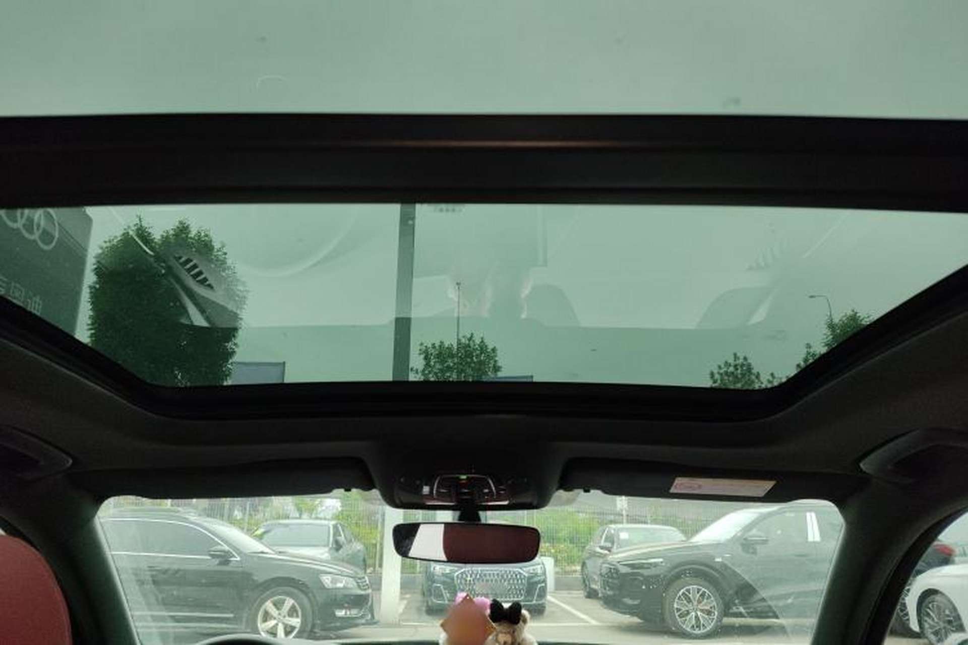 Used Audi A4L 2024 40 TFSI Luxury Dynamic Edition Headliner