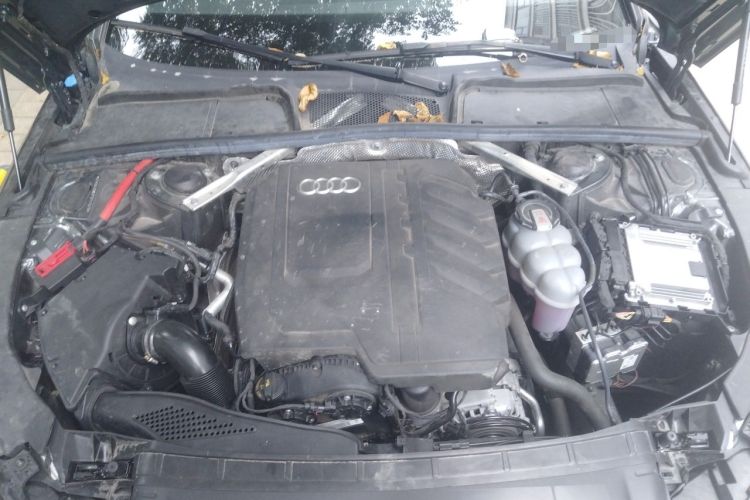 Used Audi A4L 2024 40 TFSI Luxury Dynamic Edition Engine Bay