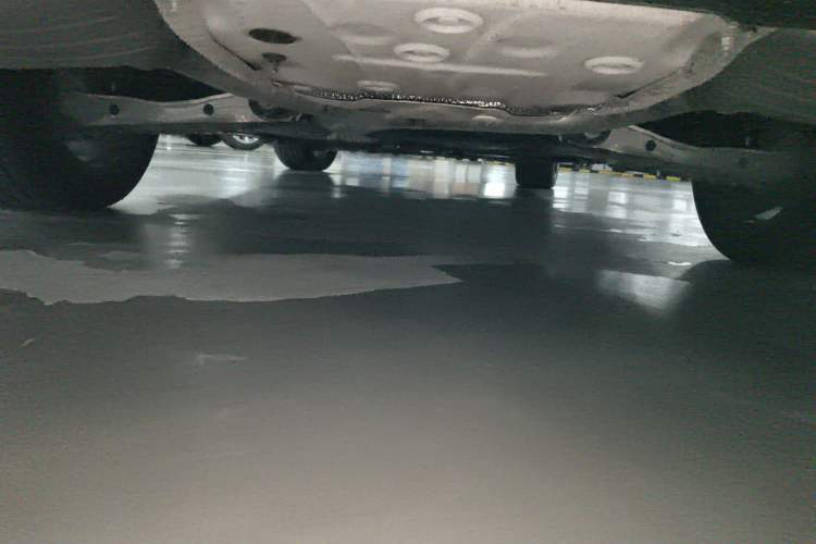 Used Audi A4L 2024 40 TFSI Fashion Dynamic Model Chassis Rear