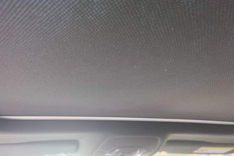 Used Audi A4L 2024 40 TFSI Luxury Dynamic Edition Headliner