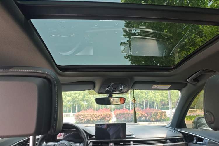 Used Audi A4L 2024 40 TFSI Luxury Dynamic Edition Headliner