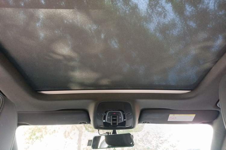 Used Audi A4L 2024 40 TFSI Luxury Dynamic Edition Headliner