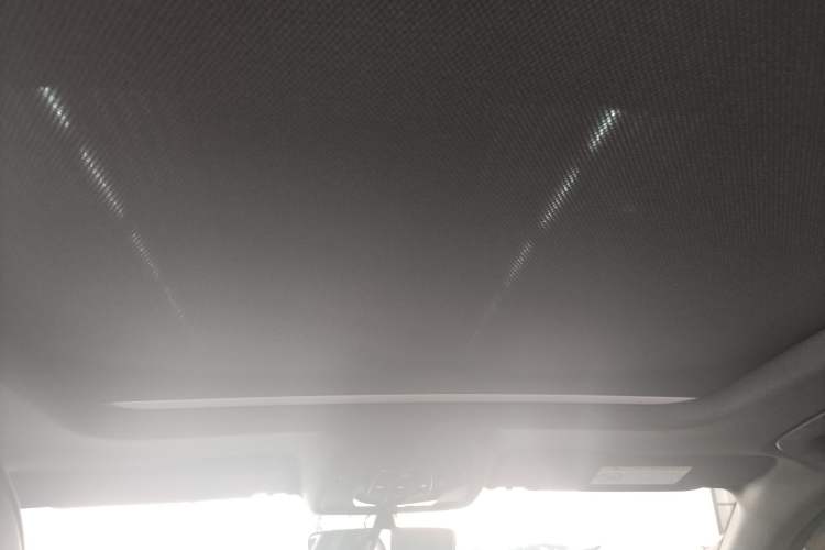 Used Audi A4L 2024 40 TFSI Luxury Dynamic Edition Headliner