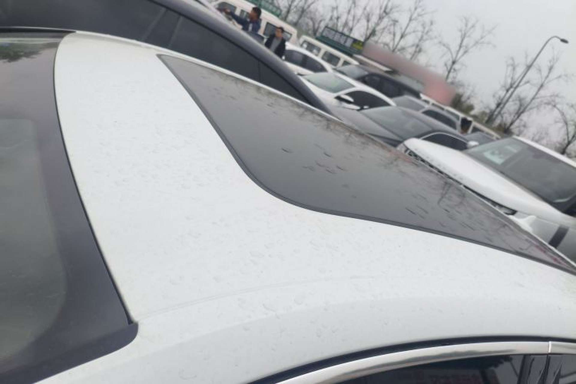 Used Audi A4L 2024 40 TFSI Fashion Dynamic Model Roof
