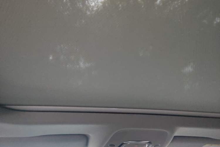 Used Audi A4L 2025 2 Million Units Enjoyment Version 40 TFSI Stylish and Dynamic Type Headliner