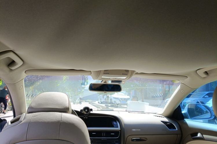 Used Audi A5 2009 2.0TFSI coupe Headliner