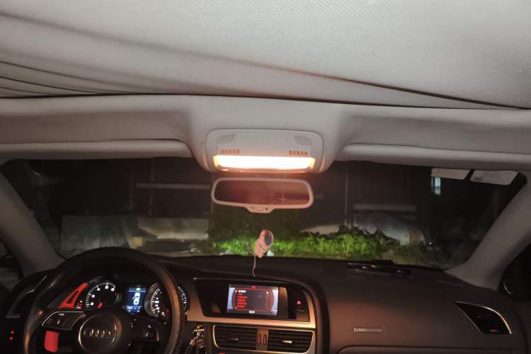 Used Audi A5 2009 2.0TFSI coupe Headliner