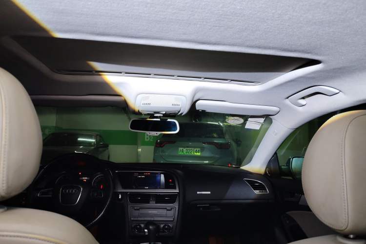 Used Audi A5 2010 2.0TFSI Sportback Luxury Model Headliner