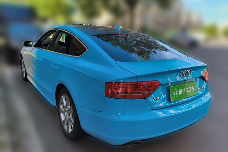 Used Audi A5 2010 2.0TFSI Sportback Technology Model Rear Left 45 Deg