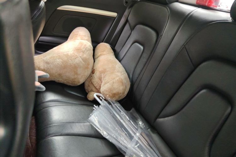 Used Audi A5 2012 2.0TFSI Cabriolet Left Rear Seat