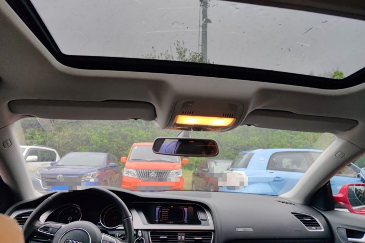 Used Audi A5 2012 2.0TFSI Sportback Headliner