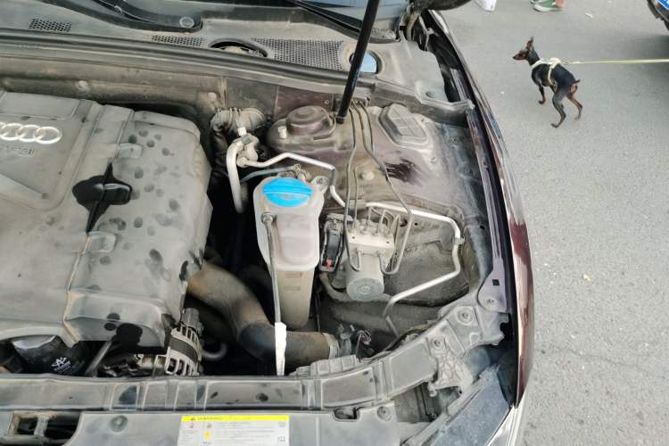 Used Audi A5 2013 Sportback 40 TFSI Fashion Edition Engine Bay Left