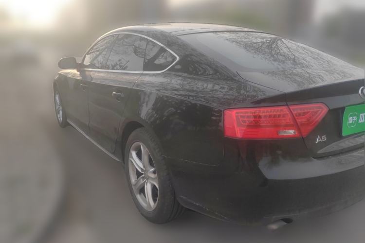 Used Audi A5 2014 Coupe 45 TFSI Rear Left 45 Deg