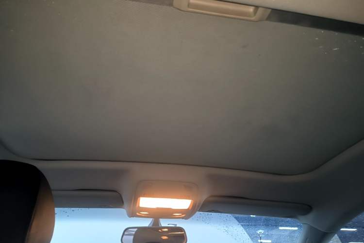 Used Audi A5 2014 Coupe 45 TFSI Headliner