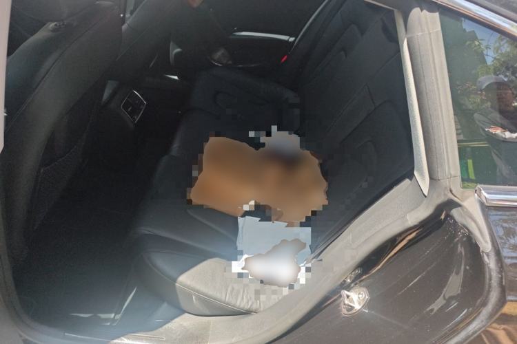 Used Audi A5 2016 Sportback 45 TFSI Left Rear Seat