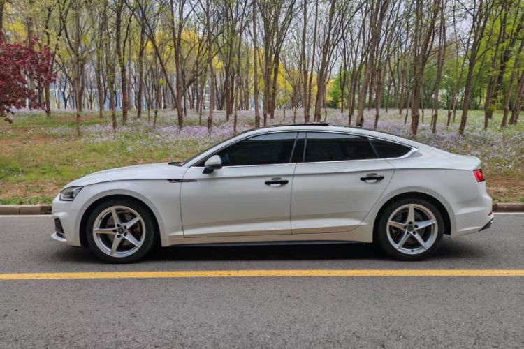 Used Audi A5 2017 Sportback 40 TFSI Fashion Model Exterior 2