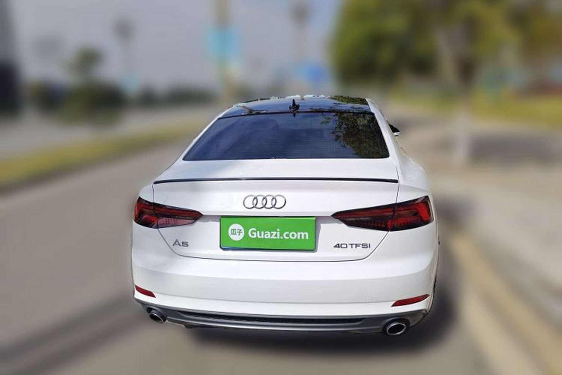 Used Audi A5 2017 Coupe 40 TFSI Fashion Model Rear