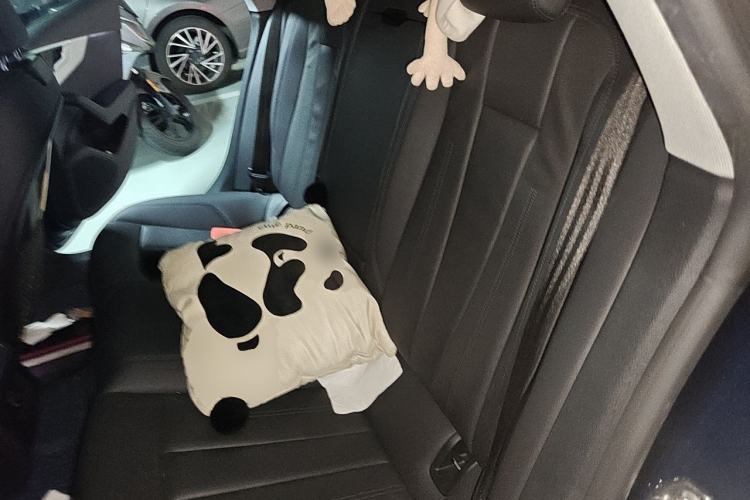 Used Audi A5 2019 Sportback 40 TFSI Fashion Model Left Rear Seat