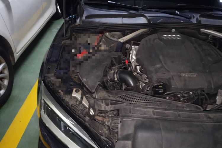 Used Audi A5 2019 Sportback 40 TFSI Fashion Model Engine Bay Right