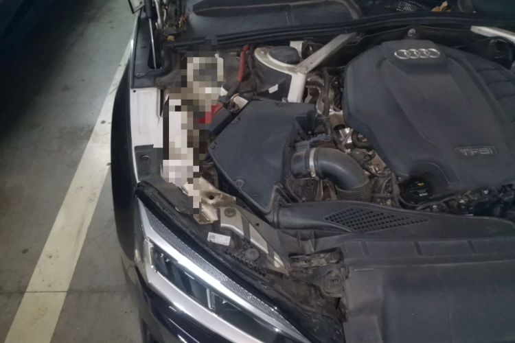 Used Audi A5 2019 Sportback 40 TFSI Fashion Model Engine Bay Right
