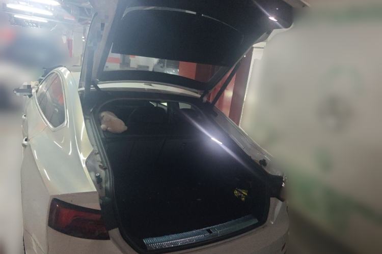 Used Audi A5 2019 Sportback 40 TFSI Fashion Model Trunk
