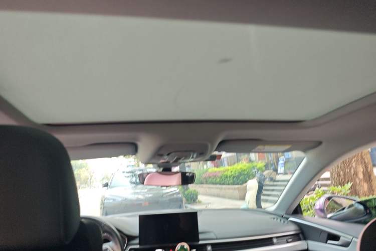 Used Audi A5  Headliner