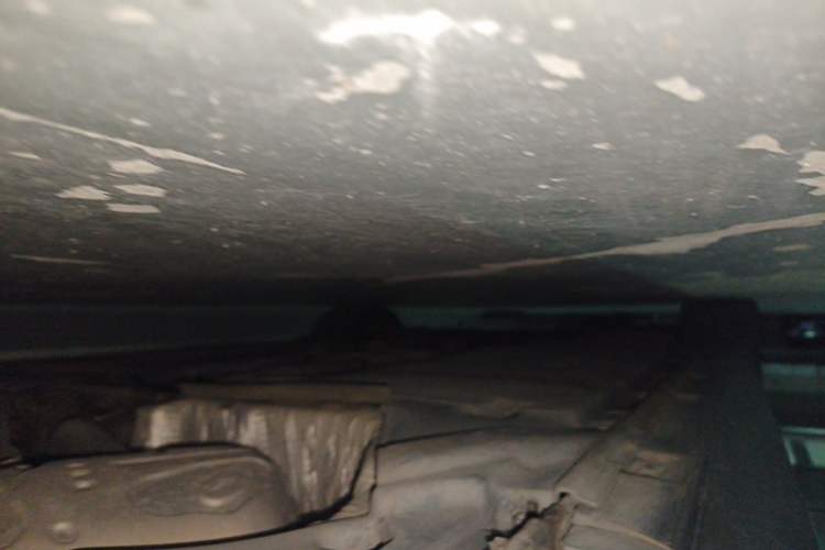 Used Audi A5 2021 Coupe 40 TFSI Fashionable and Dynamic Model Chassis Rear Left