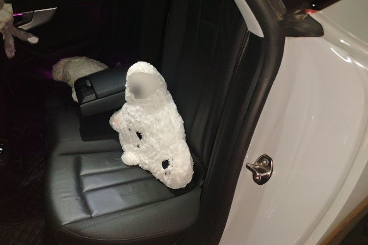 Used Audi A5 2021 Sportback 40 TFSI Fashionable and Dynamic Model Left Rear Seat