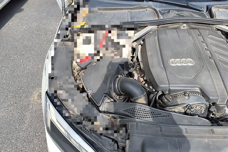 Used Audi A5 2021 Sportback 40 TFSI Stylish and Elegant Model Engine Bay Right