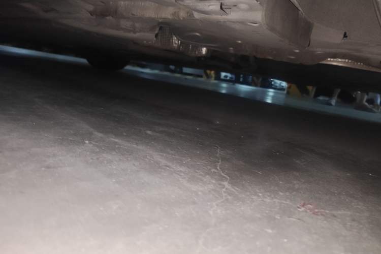 Used Audi A5 2022 Coupe 40 TFSI Fashion Dynamic Model Chassis Rear Left