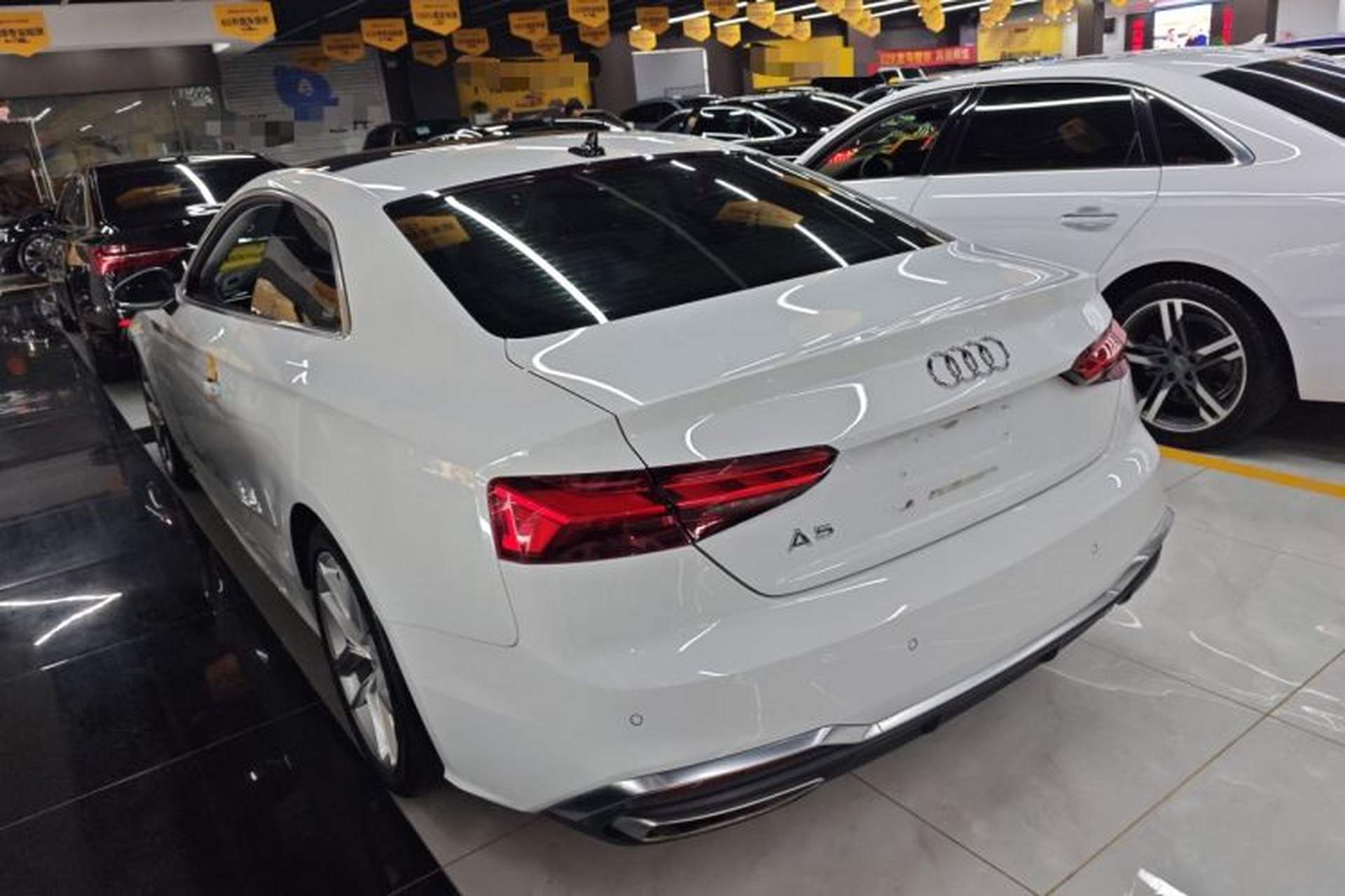 Used Audi A5 2022 Coupe 40 TFSI Fashion Dynamic Model Rear Left 45 Deg